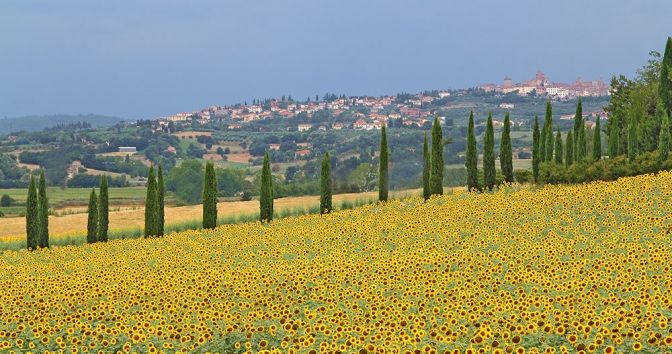 Casa Vacanze I Girasoli - Posizione